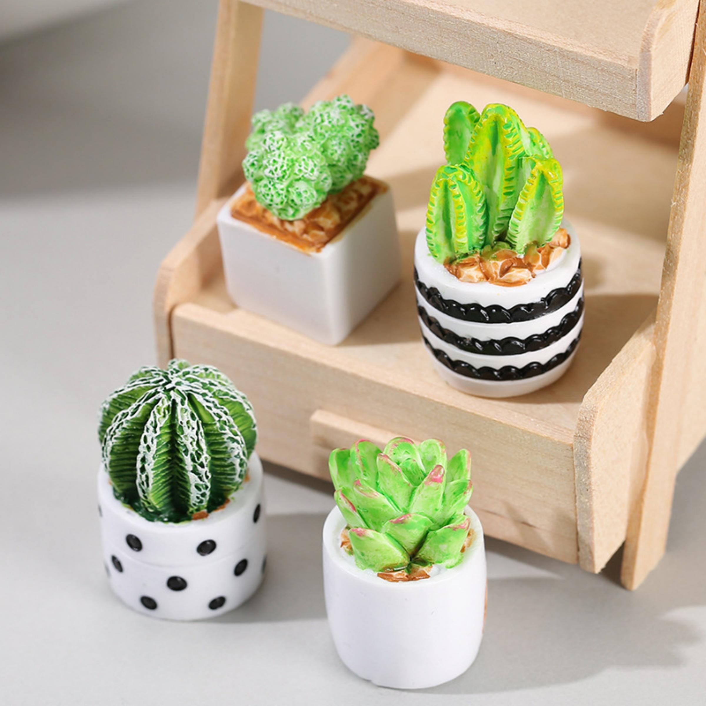 Echeveria Succulent - Conjunto de 4 Peças de Plantas