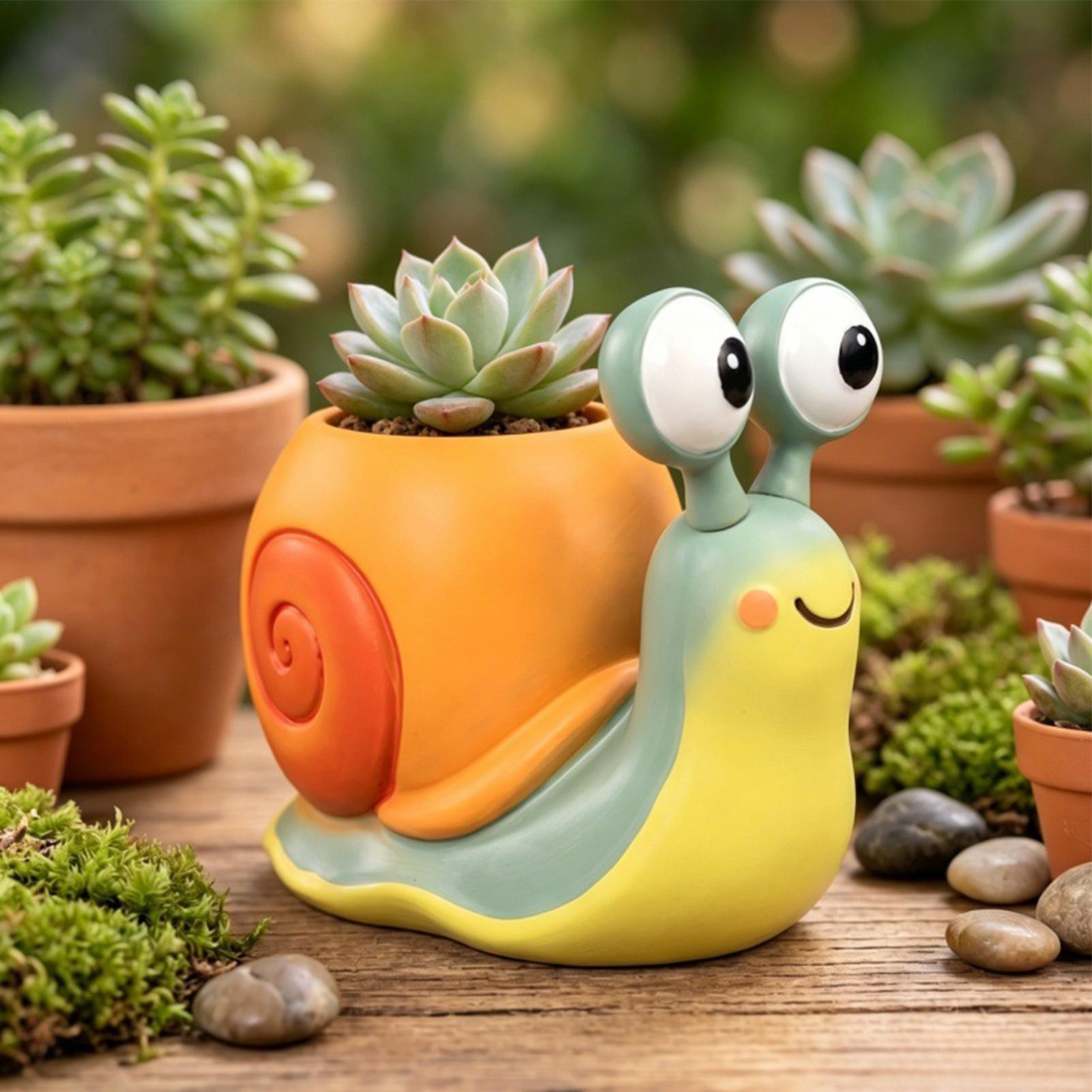 Vaso de flores em formato de c - Echeveria Succulent avaliação e preço