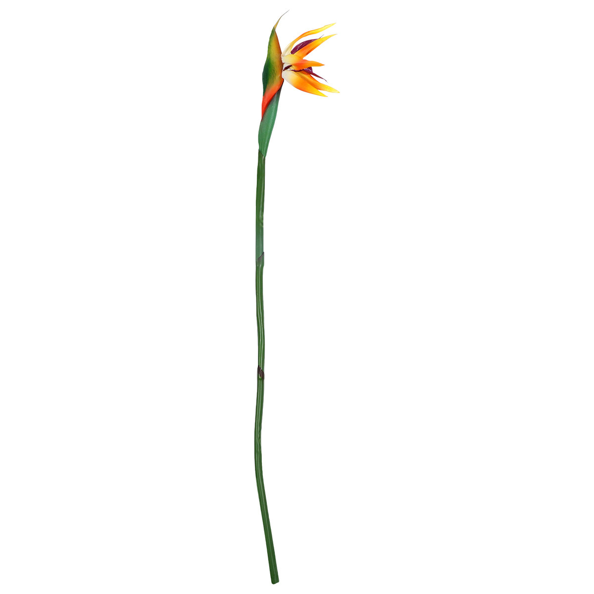 Flor Artificial de Pássaro do  - Bird Paradise Strelitzia avaliação e preço
