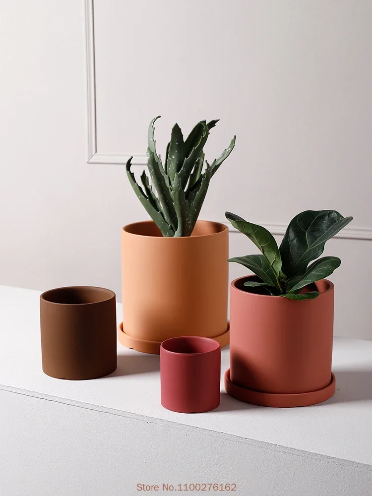 1pc nova cor pura vaso de flor - Echeveria Succulent avaliação e preço