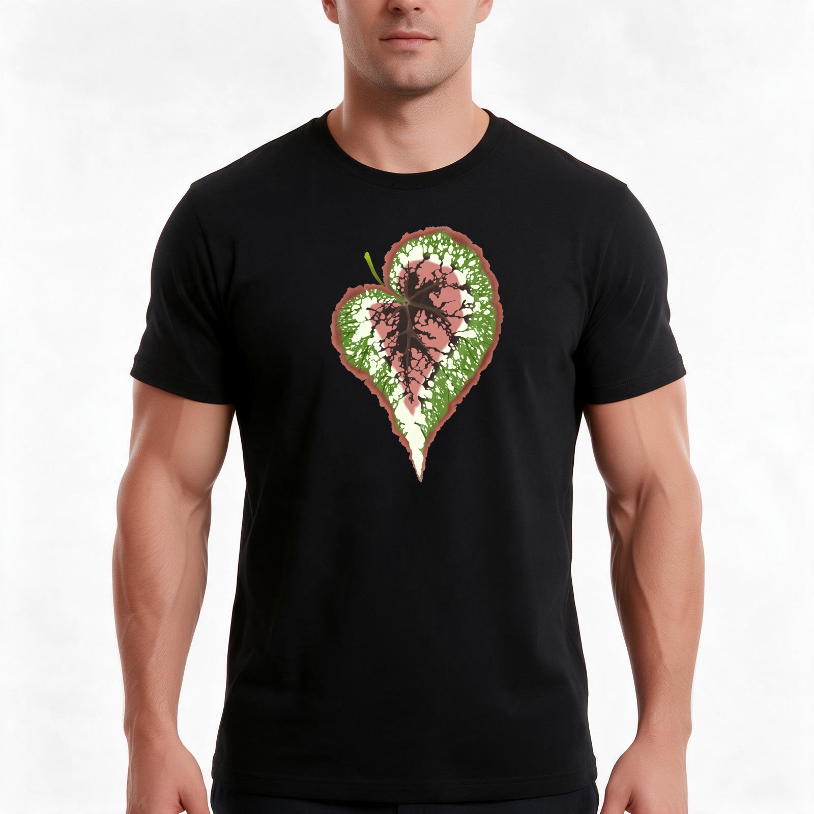 Camiseta Begonia Rex, camiseta - Begonia Rex avaliação e preço