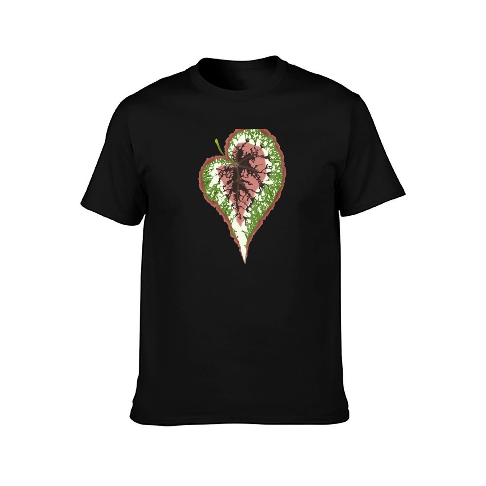 Camiseta Begonia Rex, camiseta - Begonia Rex avaliação e preço