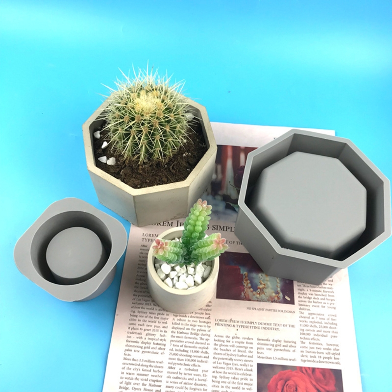 Handmade suculento plantador F - Echeveria Succulent avaliação e preço