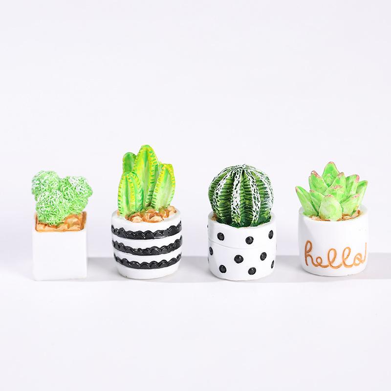 Conjunto de 4 Peças de Plantas - Echeveria Succulent avaliação e preço