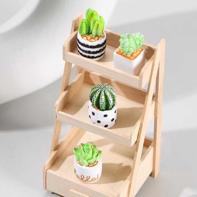 Conjunto de 4 Peças de Plantas - Echeveria Succulent avaliação e preço